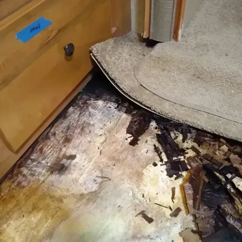 Best Wood Floor Water Damage Service in Glenwood, IL